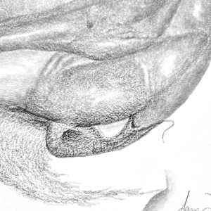 Breathing Assembly by Anna Test 