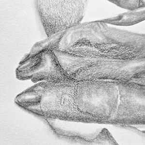 Breathing Assembly by Anna Test 