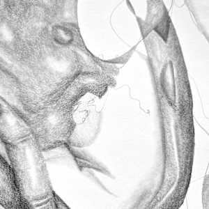 Breathing Assembly by Anna Test 