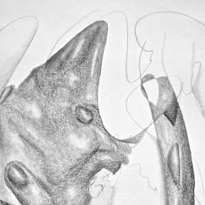 Breathing Assembly by Anna Test 