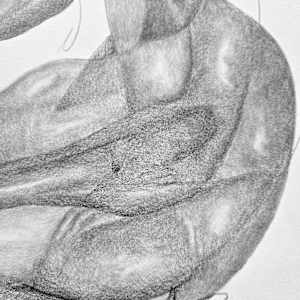 Breathing Assembly by Anna Test 