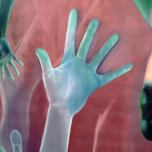 Vigilance by Anna Test 