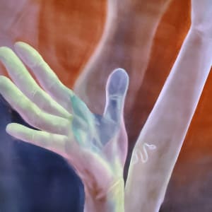 Vigilance by Anna Test 