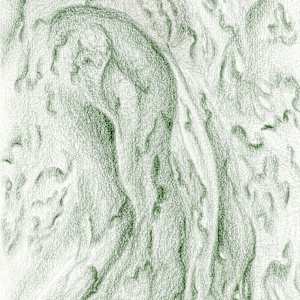 The body, unstrung by Anna Test 