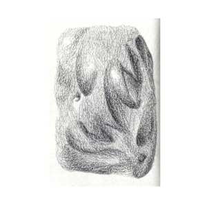 Pillowy softness, 2025 Sketchbook by Anna Test