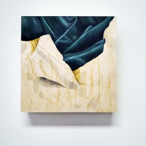 Anatomical Fabric, Shroud #2 by Anna Test 