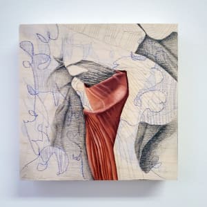 Anatomical Fabric, Shroud #3 by Anna Test 