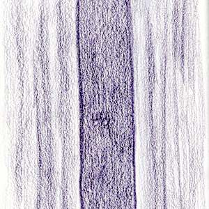 2025 Sketchbook, Untitled Sketch 02, 10-26-25 by Anna Lyle, Image 2.