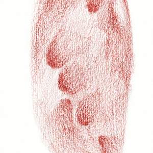 Imprint by Anna Test 