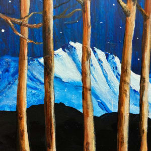 Midnight Trees - Parry Peak 