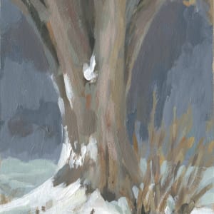 Winter Silver Maple by Carrie Arnold