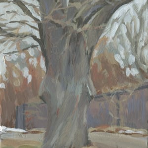 Tree on Shepherd Road by Carrie Arnold