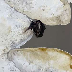 Champagne Fizz by Jill Malouf, Image 3.