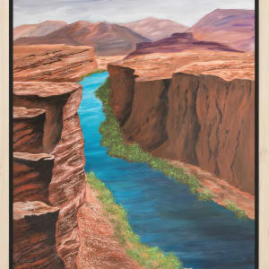 Meandering Through the Canyon by Patricia Gould 