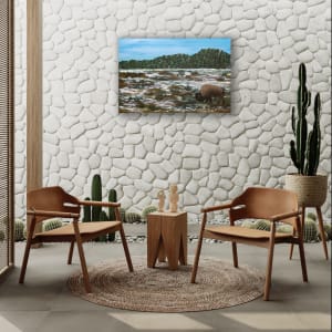 Lone Bison by Patricia Gould, Image 5.