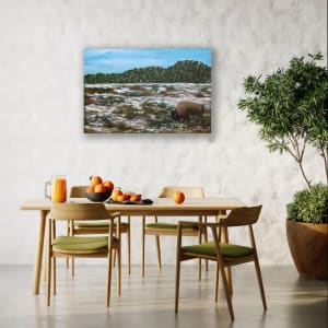 Lone Bison by Patricia Gould, Image 4.