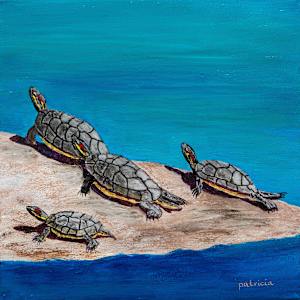 Tortugas Tranquillas by Patricia Gould, Image 1.