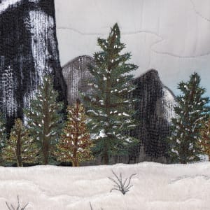 Winter Odyssey: Yosemite by Patricia Gould 