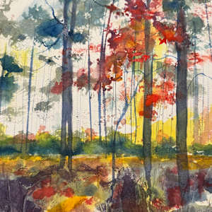 Walk in the Woods by Carol Dixon