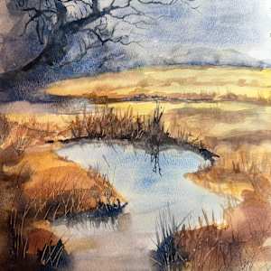 Serenity by Carol Dixon
