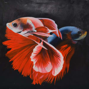 Untitled (Beta's) by Unknown
