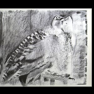 Owl by Janice Biala