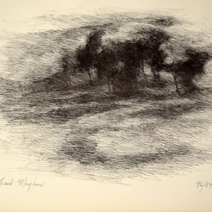 Trees by Richard Mayhew