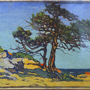 Coast Cedars by Margaret Patterson