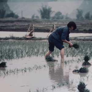 Yangshuo, Guanxi Provence by [Robert Ward]