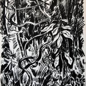 Jungle (Black) by Tobias Schneedbaum