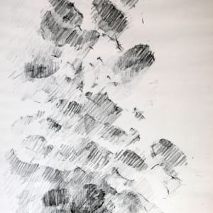 Leaves and Light by Joel Goldblatt