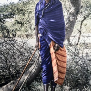 Engikaret Profiles by Rushell Kwong