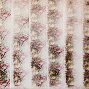 Untitled (Red) by Mark Young