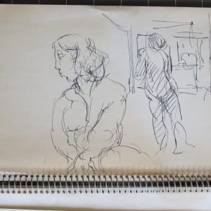 #2070 small sketchbook, Martha's Vineyard, 9.5x6", pastel, pencil, ink  Image: ink on paper