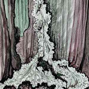 Dark Waterfall by Marjorie  Cutting