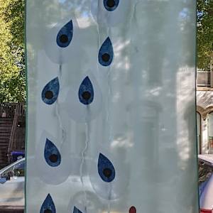 Feathers by Marjorie  Cutting