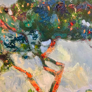 Sandbanks - sunset tree by Stephen Bishop 