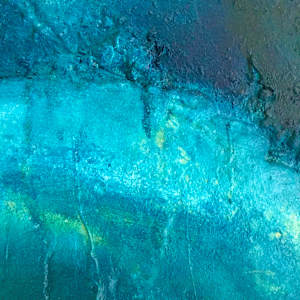 Aquatic by Stephen Bishop 