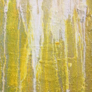 Transfiguration White on Yellow by Stephen Bishop 