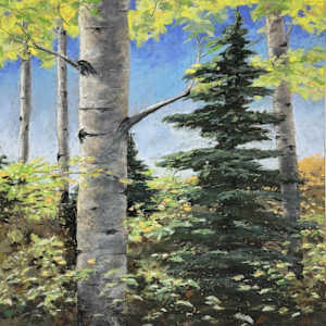 View Through the Trees by T Kurtz