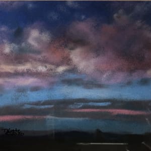 Pacific NW Skies
