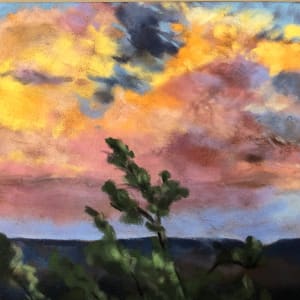 Privledged View by T Kurtz