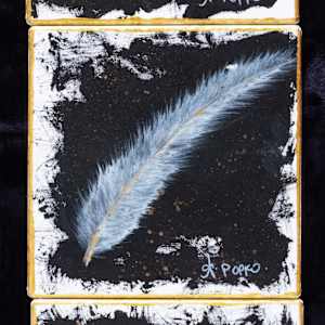 Feather 3 by April Popko 