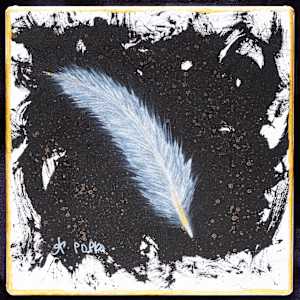 Feather 2 by April Popko