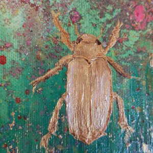 Jewel Beetle 