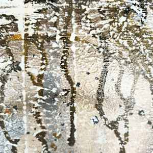 Glimpse by April Popko 