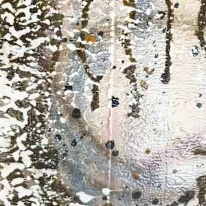 Glimpse by April Popko 