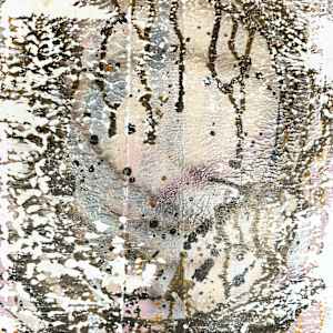 Glimpse by April Popko 