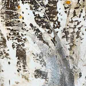 Nor Here Nor There by April Popko 
