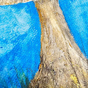 Eye Catching by April Popko 